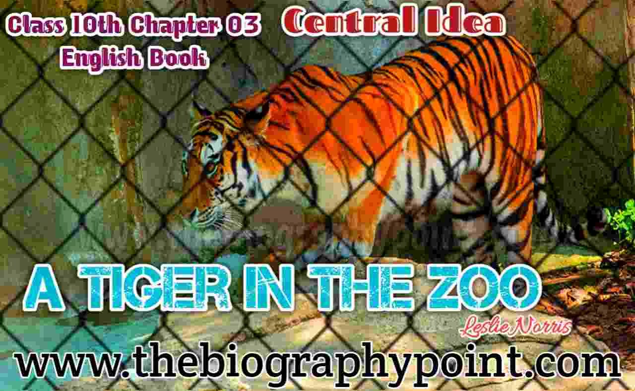 A Tiger In The Zoo | Leslie Norris, a tiger in the zoo class 10 short summary, a tiger in the zoo class 10 summary, Bihar Board, Central Idea Class 10th, Leslie Norris, MP Board, Prose Works, UP Board, what is the tone and mood of ‘a tiger in the zoo’?